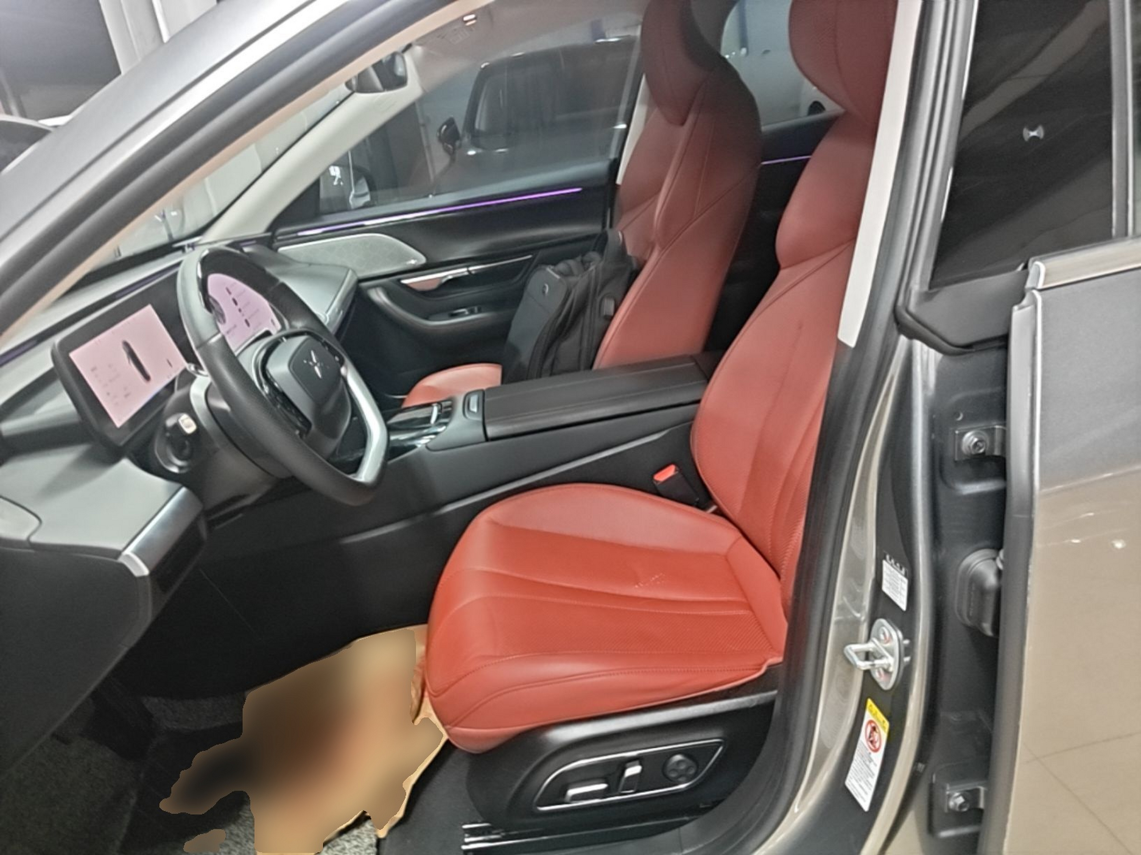 Interior delantero