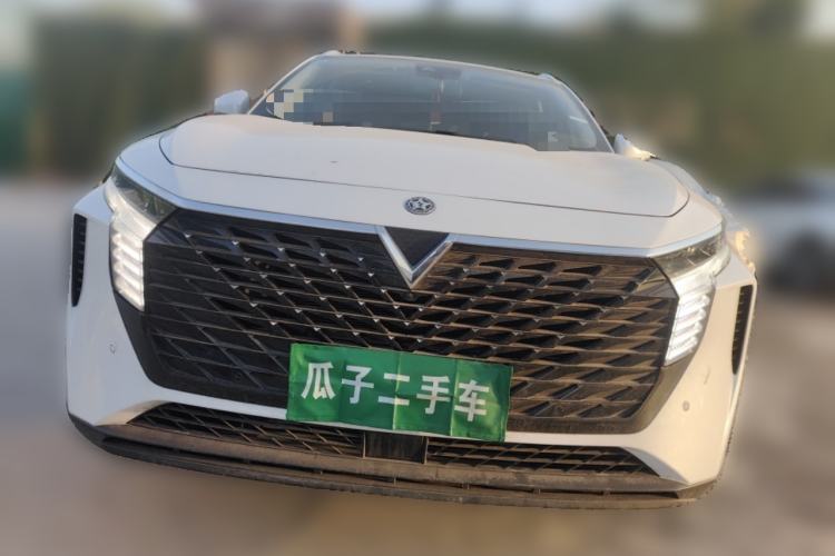 Used Venucia V 2022 260T Black Horse Edition · King
