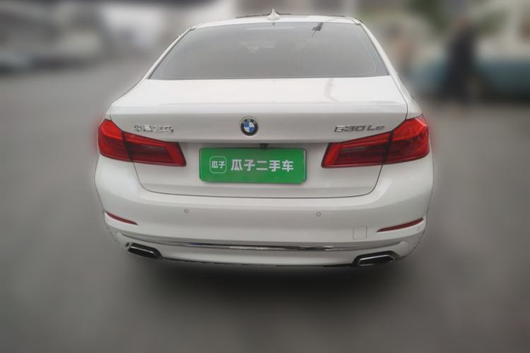 Used BMW 5 Series New Energy 2019 530Le Luxury Package
