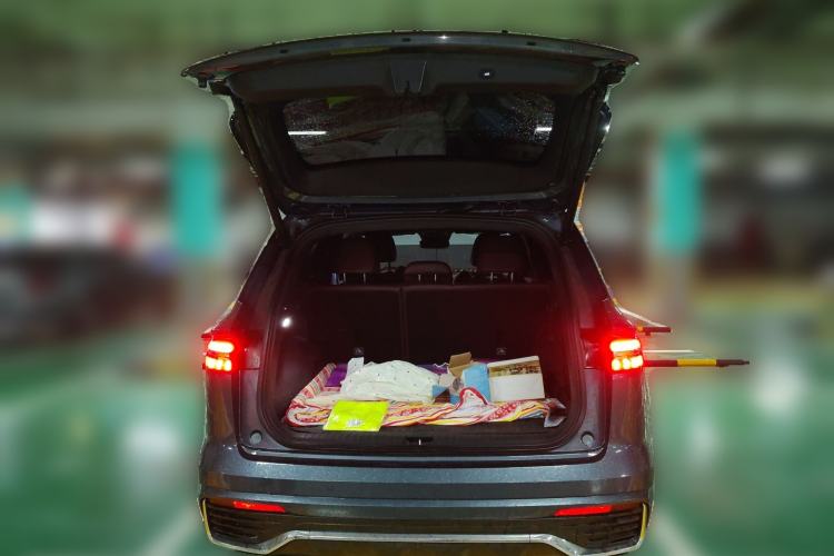 Used Geely Auto Monjaro L 2024 2.0TD High-Power Automatic Two-Wheel Drive Skyline Edition
