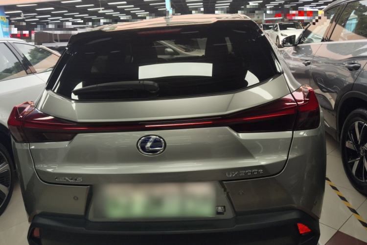Used Lexus UX New Energy 2020 300e Pure·Joy Edition Rear