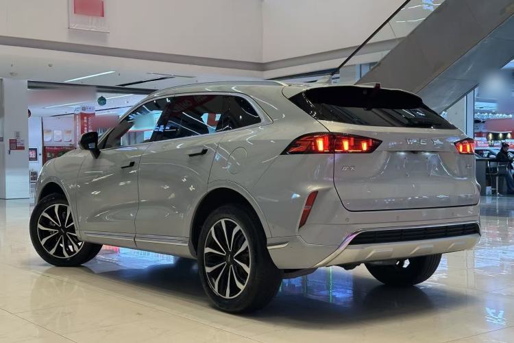 Used Wey Mocha 2021 2.0T Two-Wheel-Drive Premium Edition