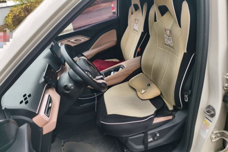 Used BYD Seagull 2023 Flying Edition Left Front Seat