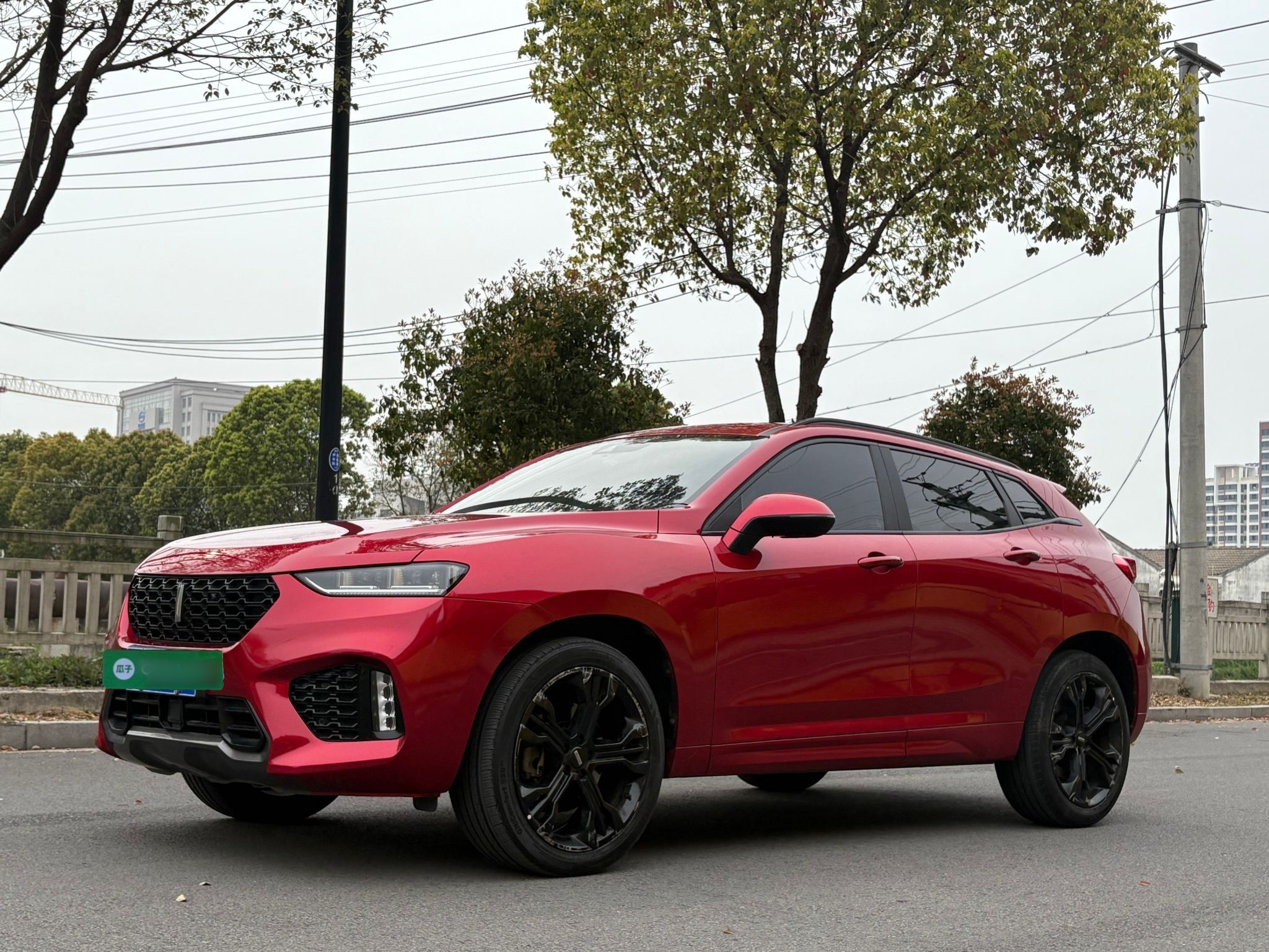 Parte inferior delantera