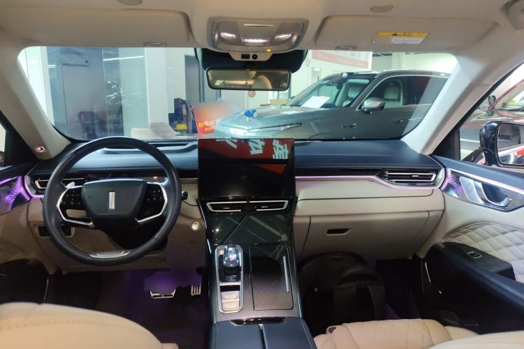 Used Wey Mocha 2021 2.0T Four-Wheel Drive Premium Edition
