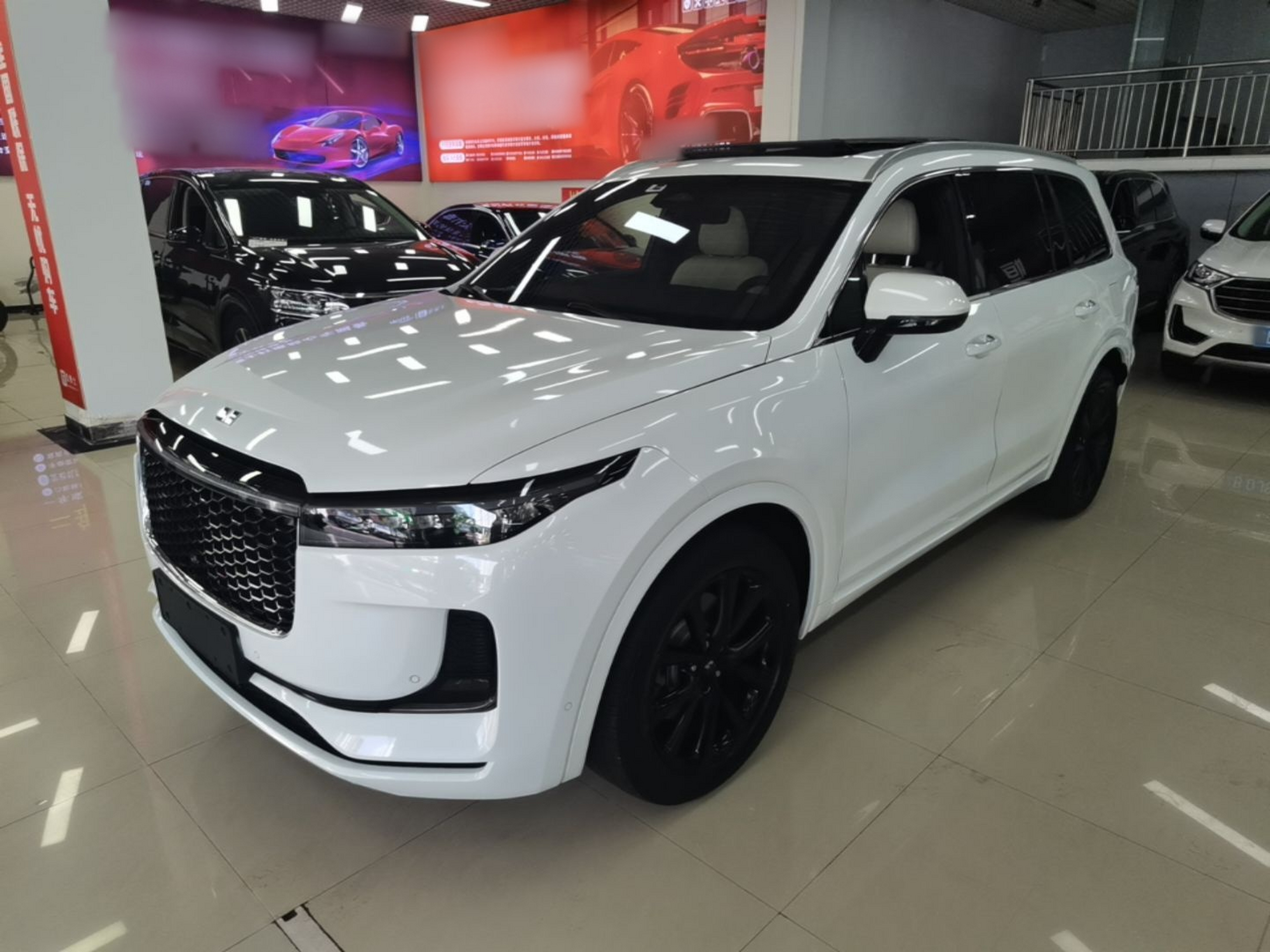 Under Front Bumper