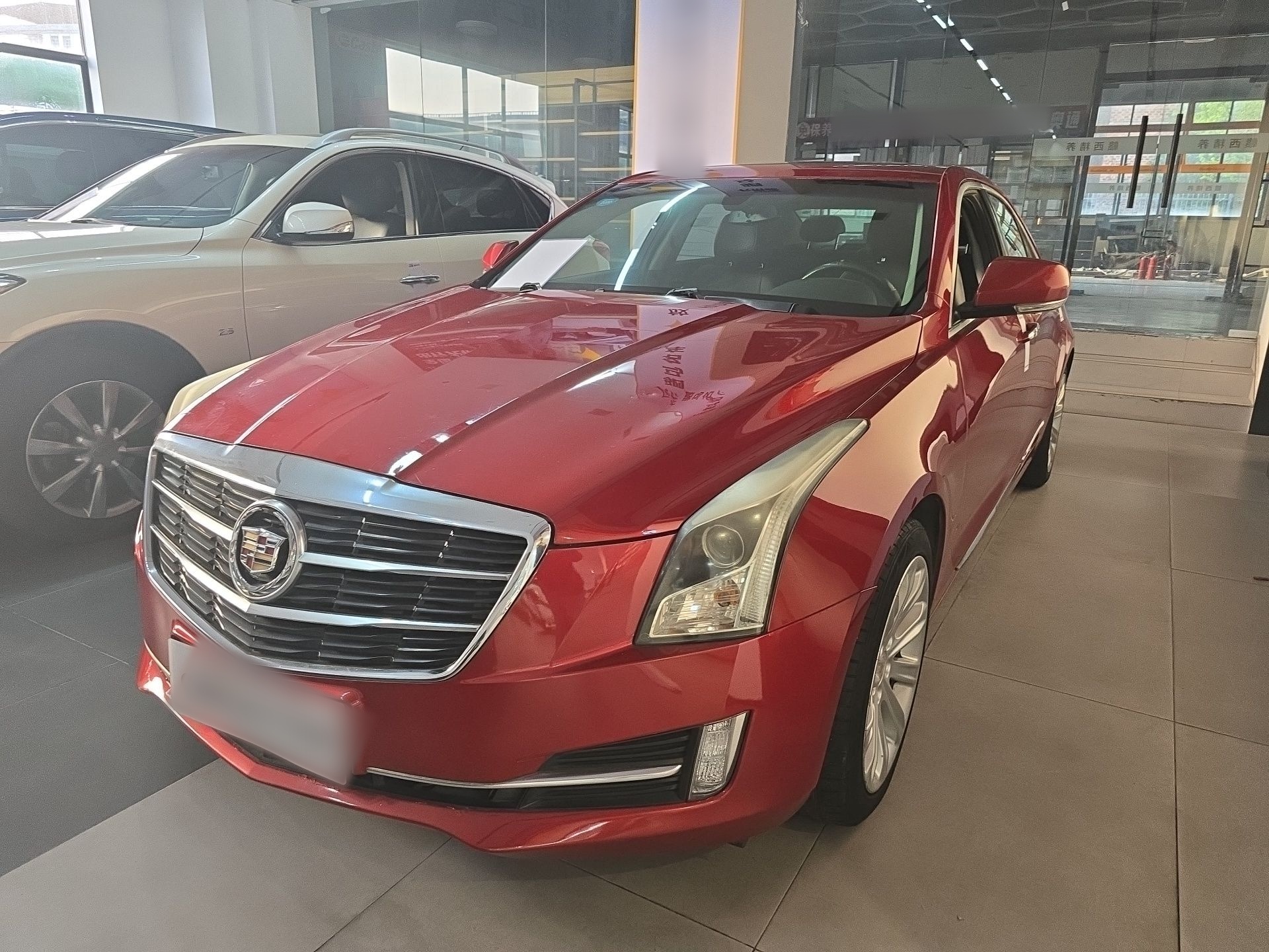 Parte inferior delantera