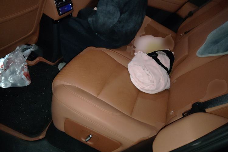 Used Li Auto L6 2024 Max