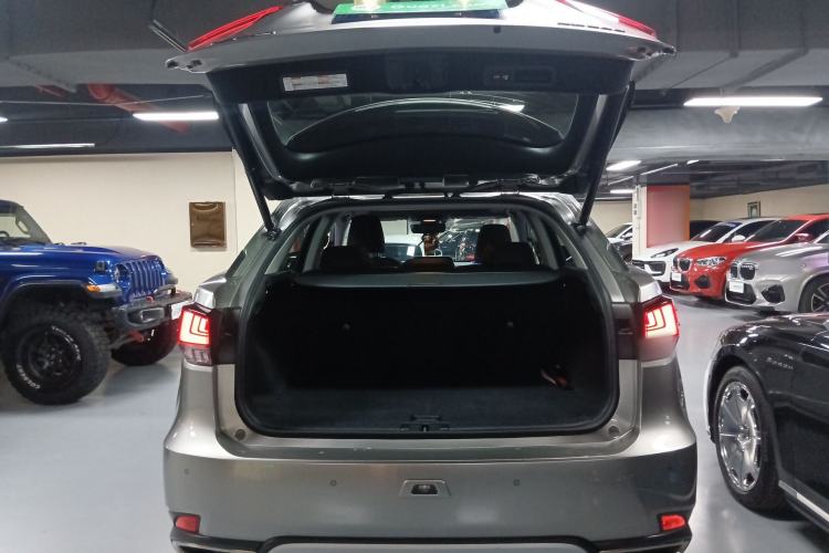 Used Lexus RX 2020 Revised Version 300 Two-Wheel Drive Comfort Edition
