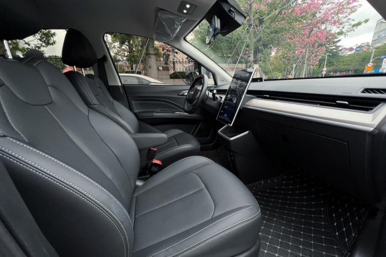 Used NETA V 2021 Long-Range Entertainment Edition Upgrade Model
