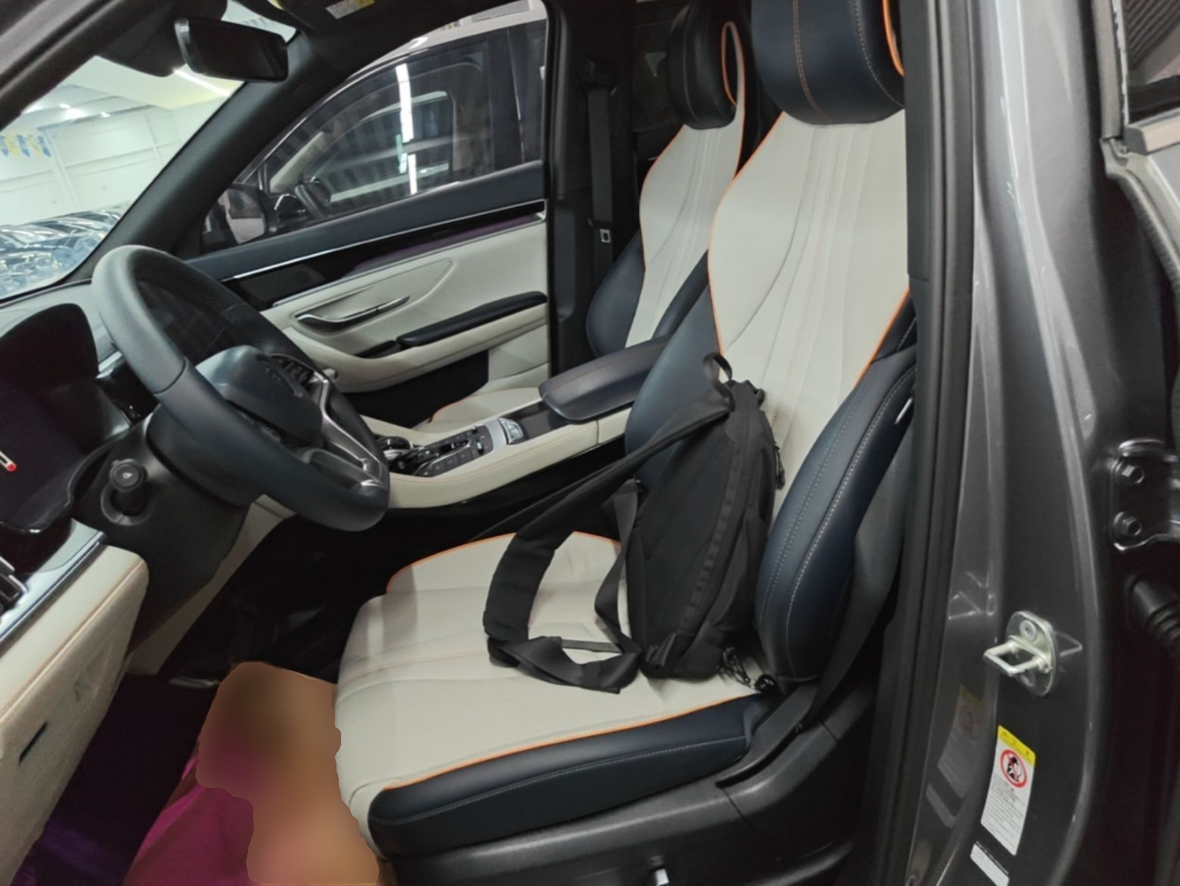 Interior delantero