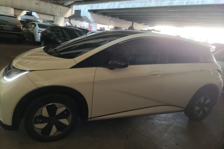 Used BYD Dolphin 2024 Honor Edition 420km Fashion Version
