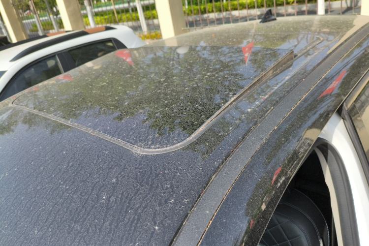 Used ORA Good Cat 2021 400km Standard Range Venus Edition Lithium Iron Phosphate