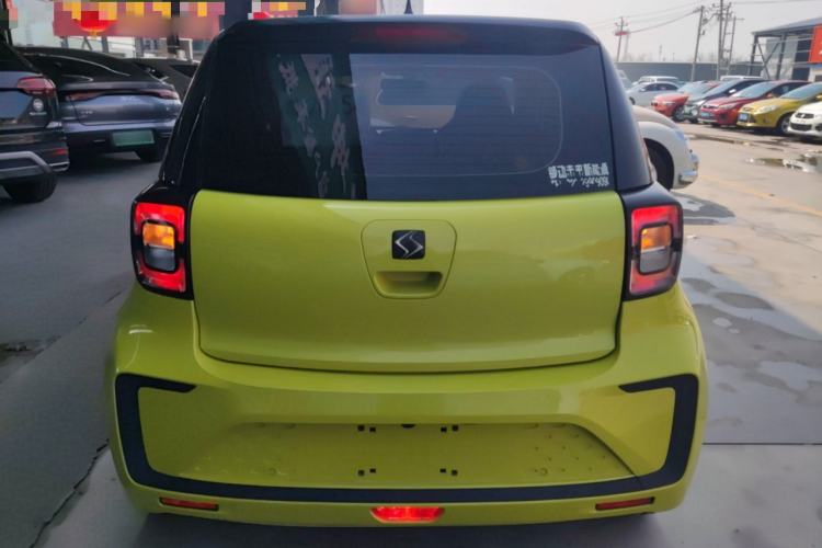 Used SOL E10X 2022 Flower Fairy Design Four-Leaf Clover
