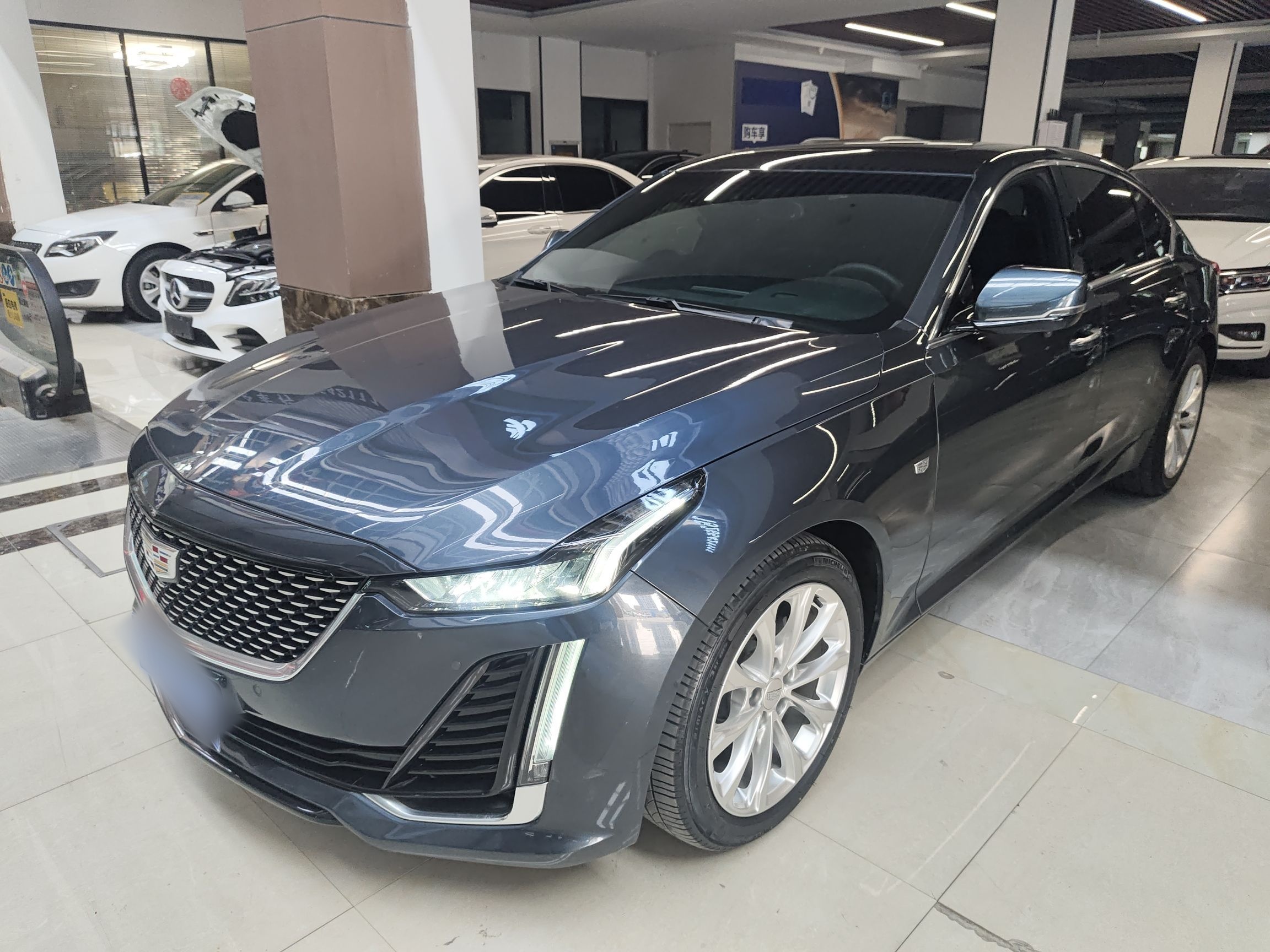 Parte inferior delantera