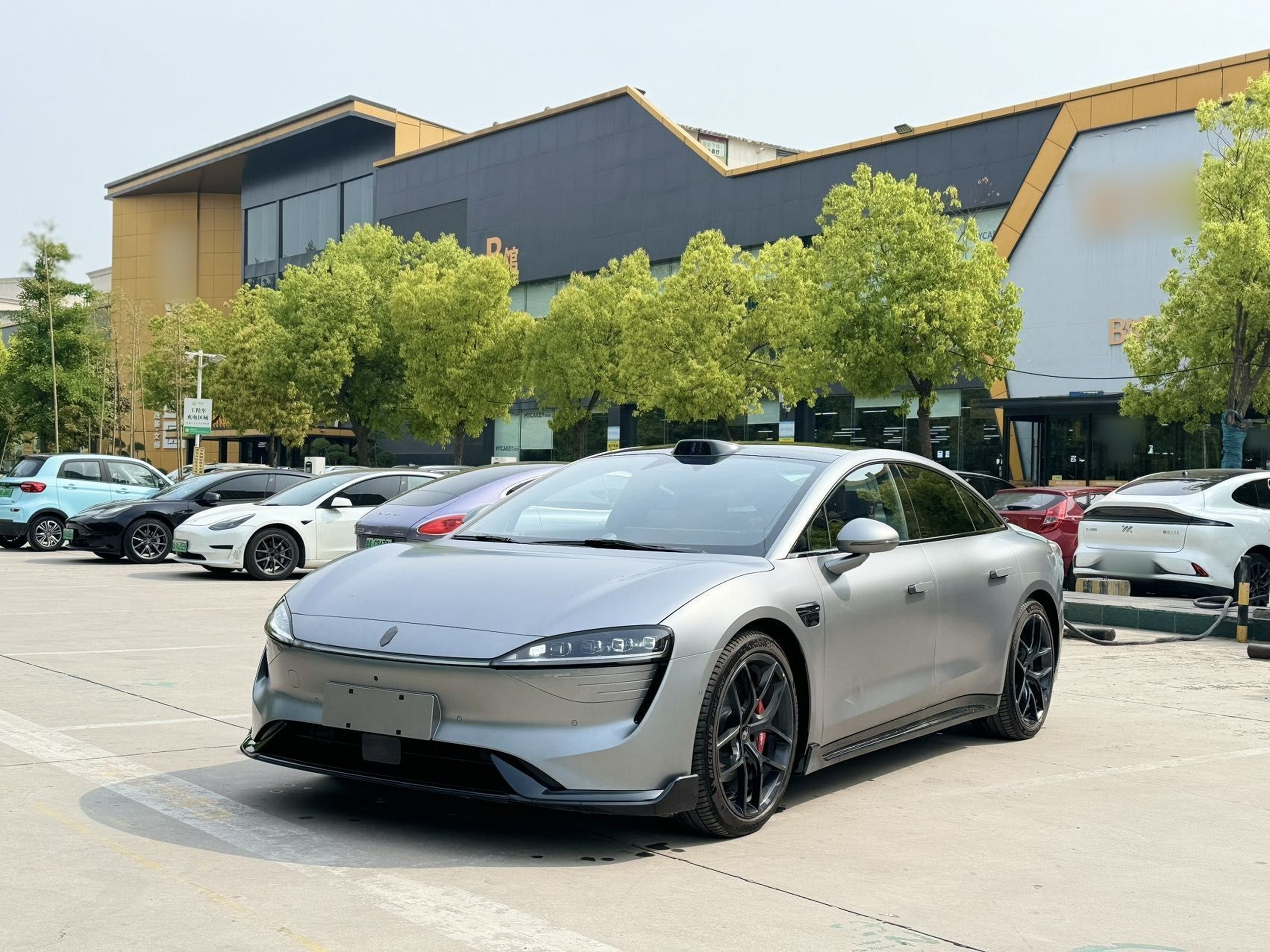 Parte inferior delantera