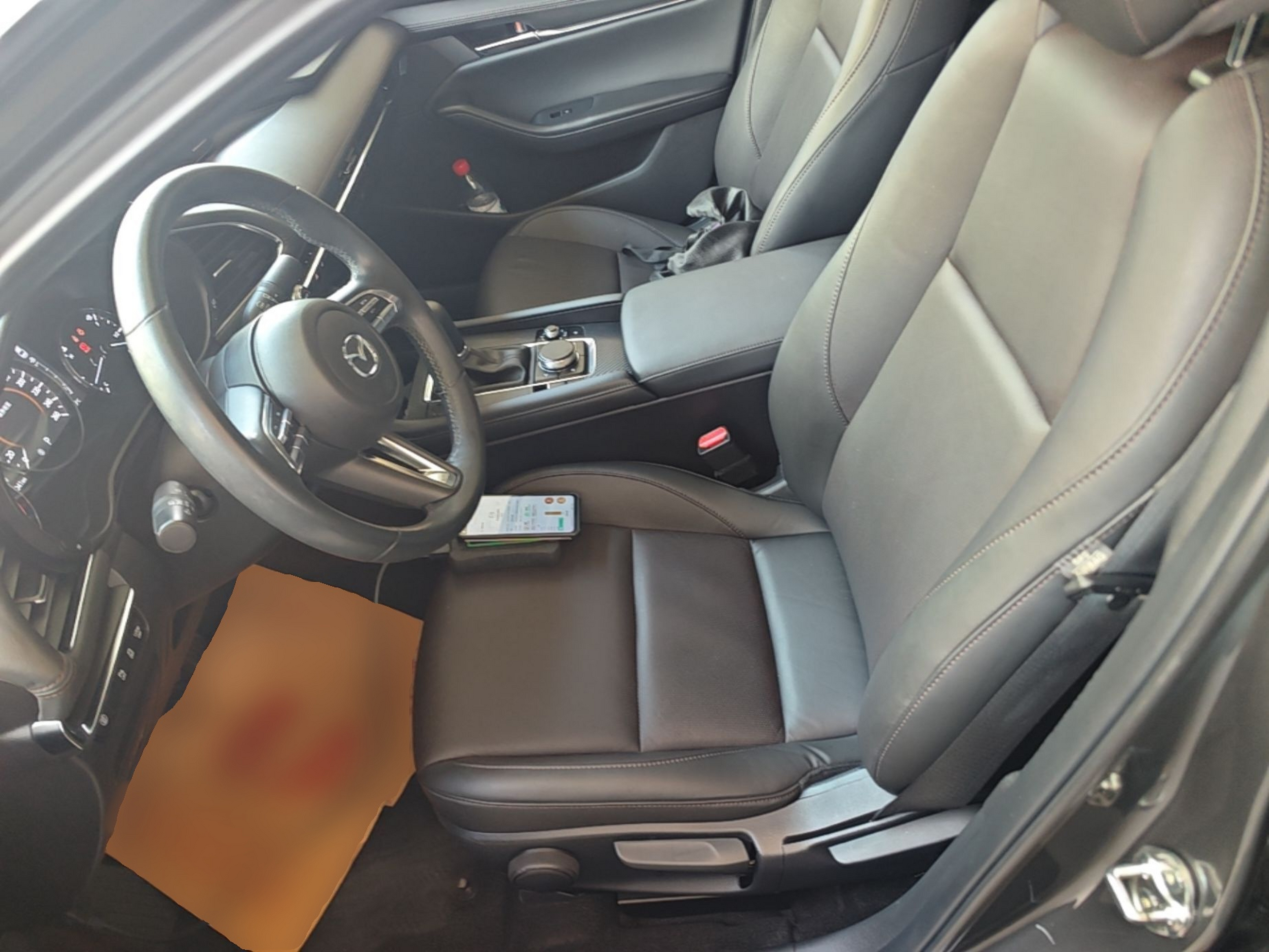 Interior delantero