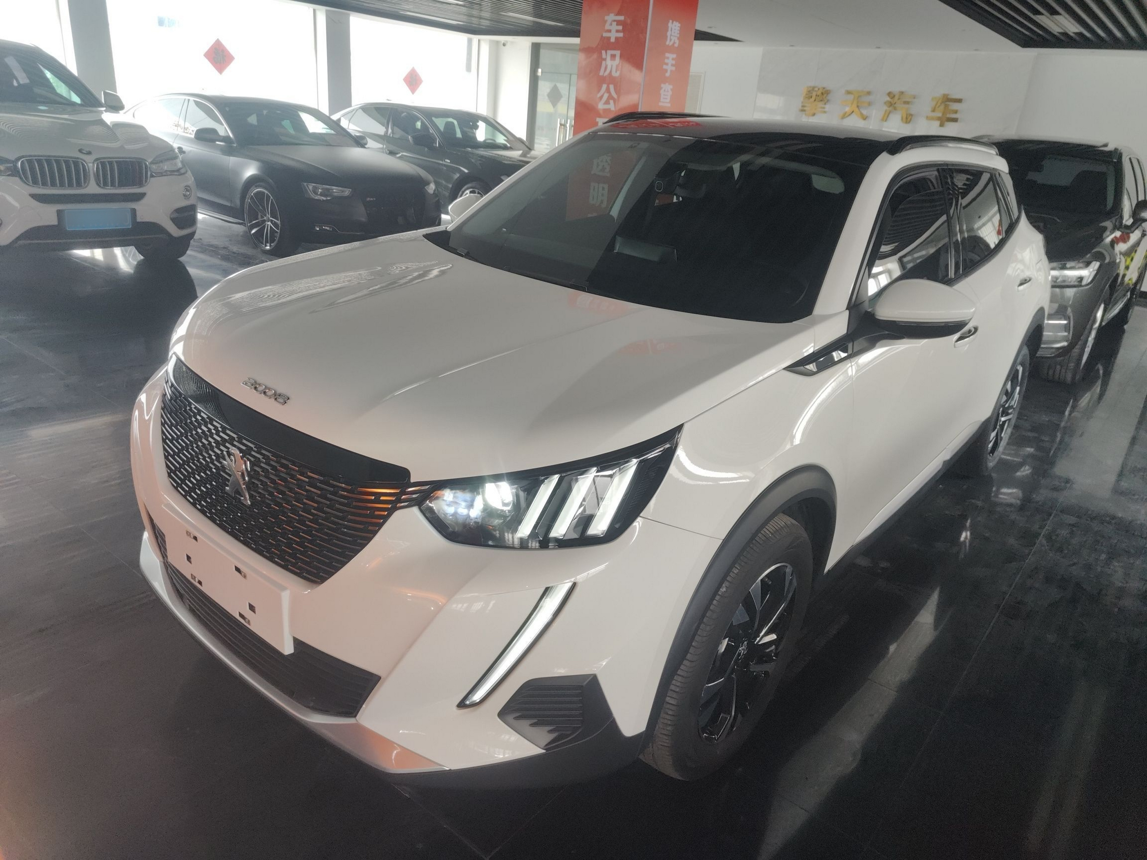 Parte inferior delantera