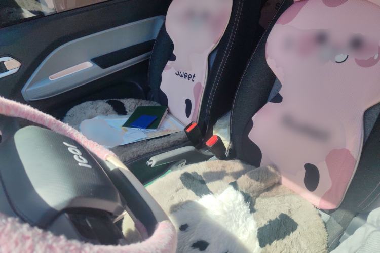 Used Chery QQ Ice Cream 2022 120km Milkshake Phosphate Lithium-Iron Left Front Seat