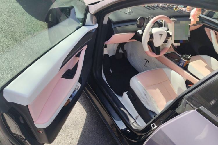 Used Tesla Model Y 2021 Standard Range Rear-Wheel Drive Version