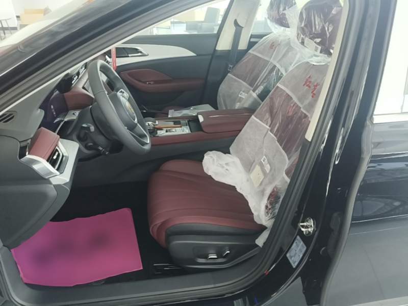 Used Hongqi H5 2025 2.0T Automatic Flag Edition – 500 000 Units Commemorative Version — 16