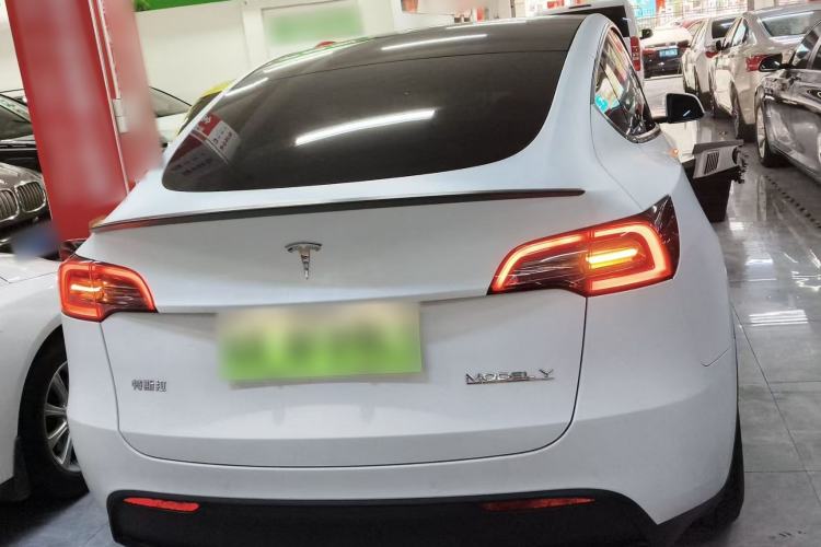 Used Tesla Model Y 2021 Performance High-Performance All-Wheel-Drive Version Exterior 5