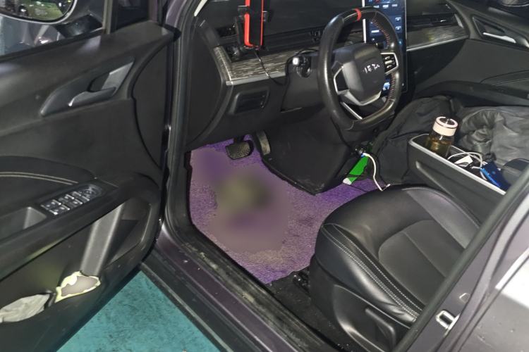 Used NETA V 2022 Chao 300 Lite Lithium Iron Phosphate