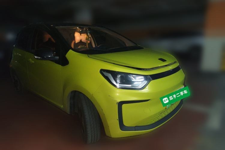 Used SOL E10X 2022 Flower Fairy Design Four-Leaf Clover