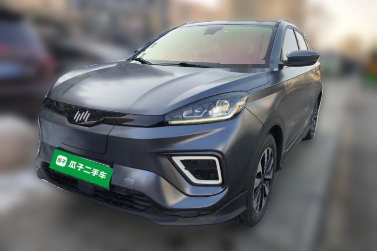 Used WM Motor EX5 2020 EX5-Z Fun Dynamic Edition