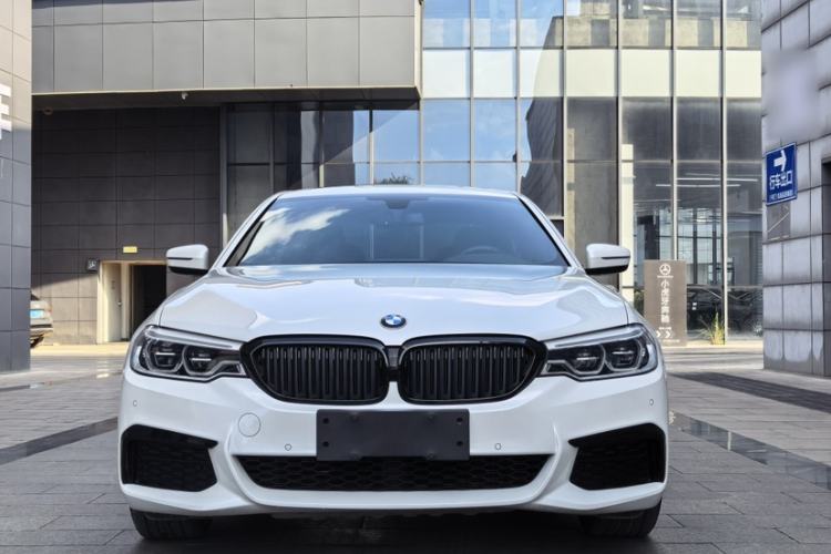 Used BMW 5 Series 2020 530Li Leading Model M Sport Package Exterior 5