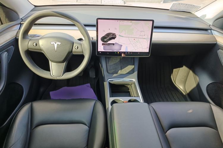 Used Tesla Model Y 2021 Standard Range Rear-Wheel Drive Version
