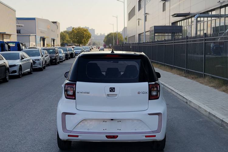 Used SOL E10X 2022 Flower Fairy Style Baby's Breath