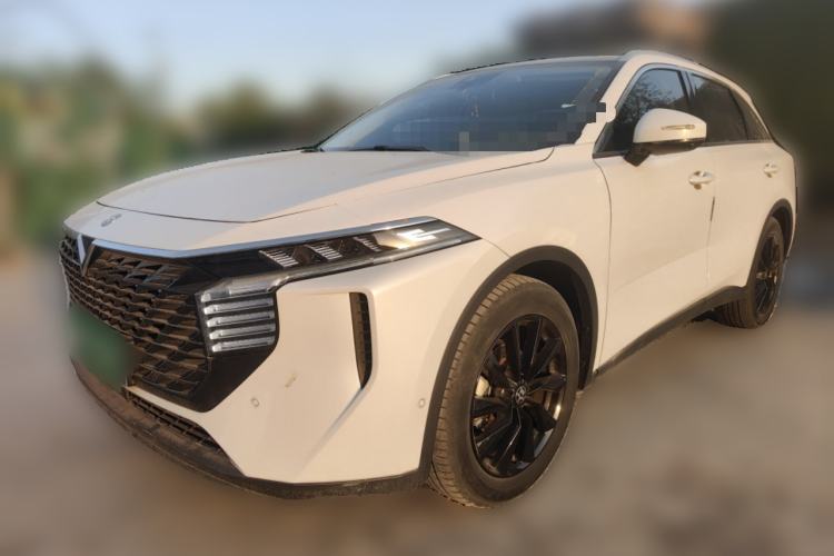 Used Venucia V 2022 260T Black Horse Edition · King