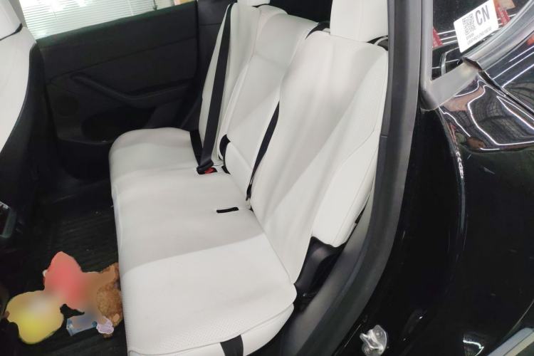 Used Tesla Model Y 2021 Standard Range Rear-Wheel Drive Version