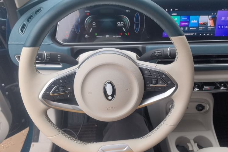 Used ORA Good Cat 2023 401 km Standard Range Luxury Version Lithium Iron Phosphate