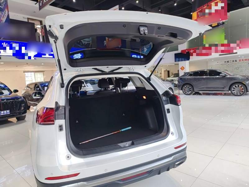 Used Haval H6 2021 National Trend Edition 1.5T Automatic Urban Version — 18