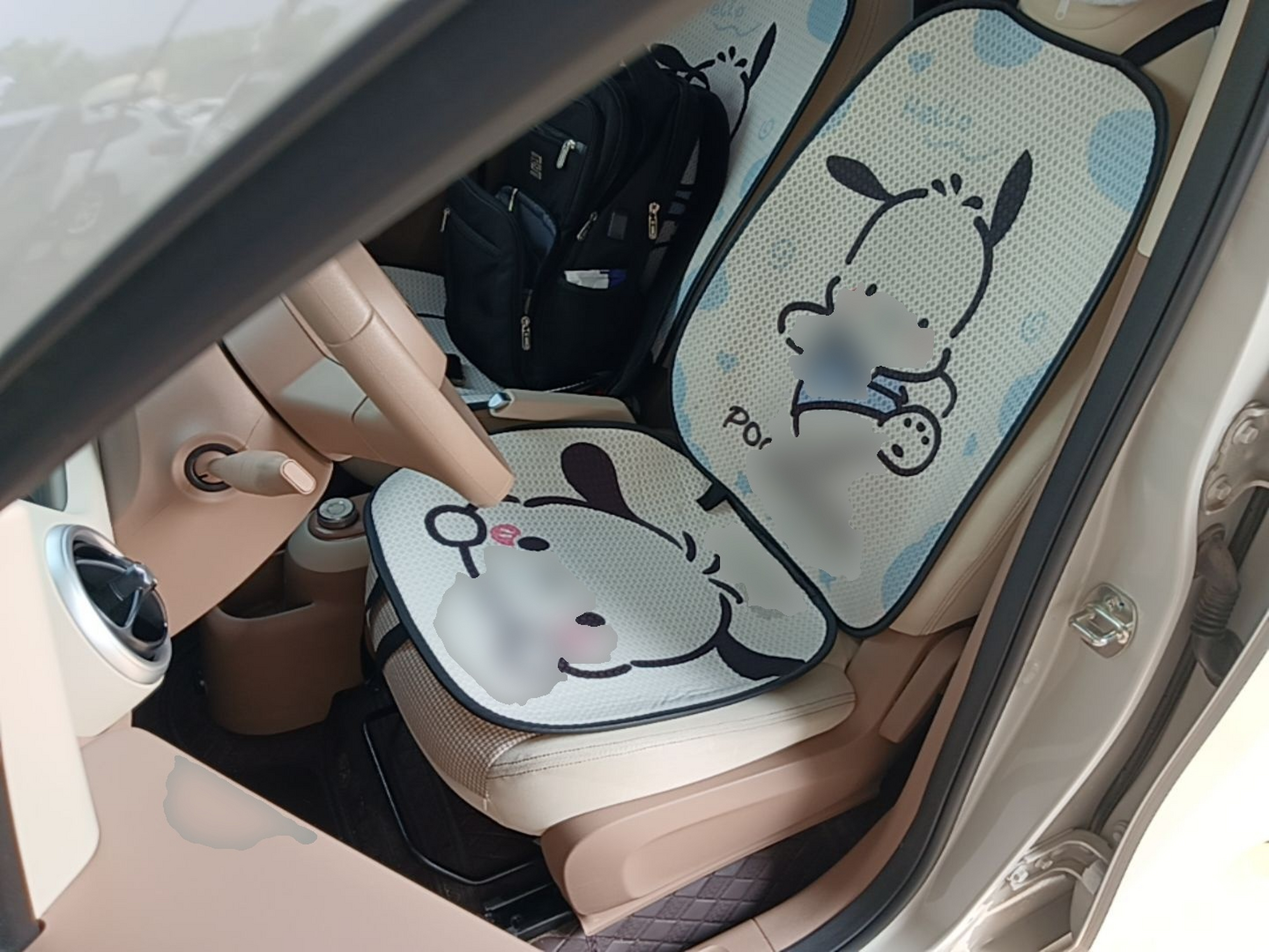 Interior delantero