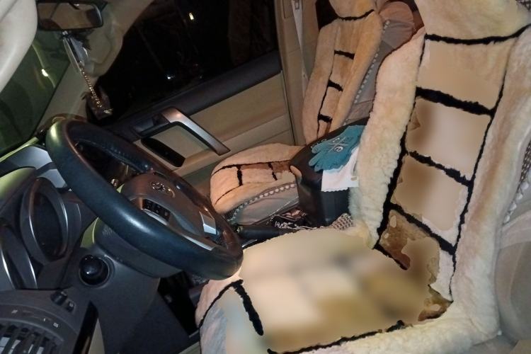 Used Toyota Prado  Left Front Seat