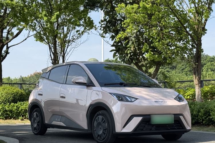 Used BYD Seagull 2023 Active Version
