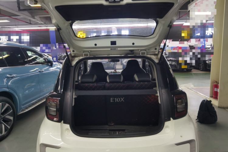 Used SOL E10X 2022 Flower Fairy Design Four-Leaf Clover
