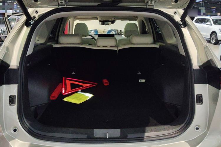 Used Haval H6 2024 2.0T All-Wheel Drive Max
