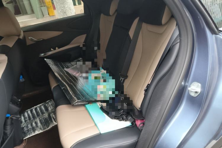 Used BYD Dolphin 2025 Intelligent Driving Version 410 km Fashion Edition