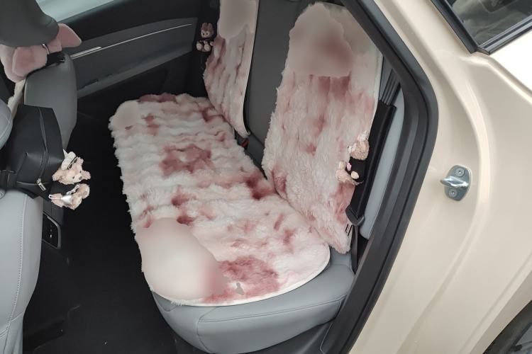 Used XPeng MONA M03 2024 515 Long-Range