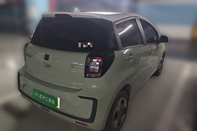 Used SOL E10X 2022 Flower Fairy Design Four-Leaf Clover