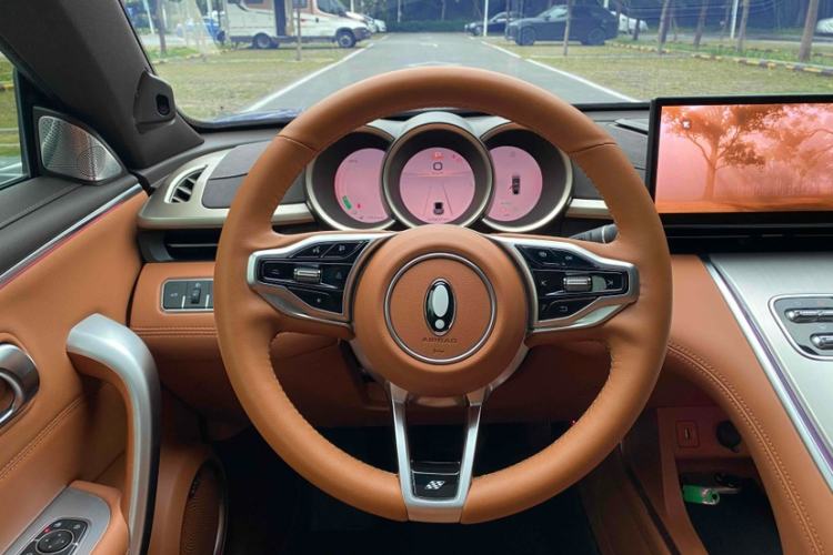 Used ORA Lightning Cat 2022 555 km Luxury Edition
