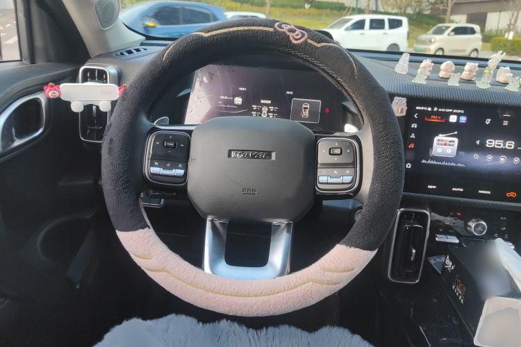 Used Haval DARGO 2021 2.0T DCT 4x4 Chinese Rural Dog Edition