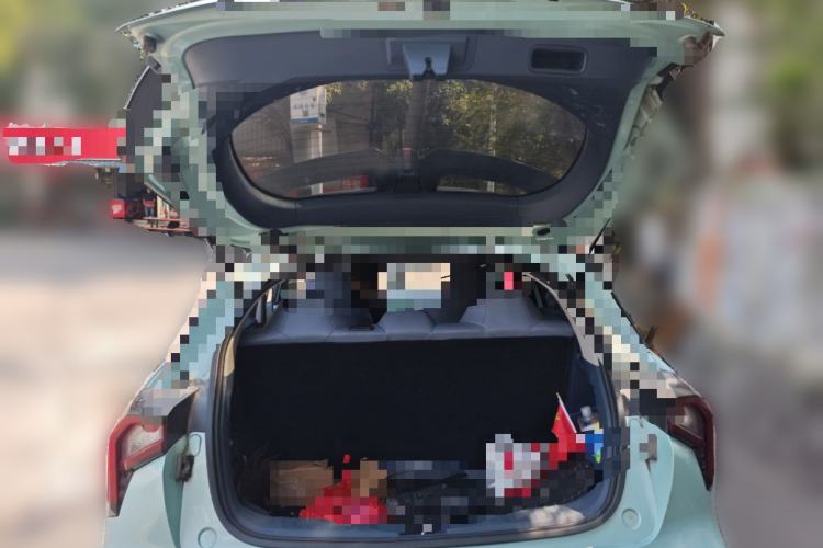 Used Geometry E Firefly 2023 401KM Lightning Tiger 5-Seater