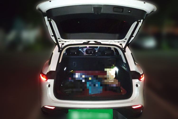 Used VOYAH FREE 2021 Four-Wheel Drive Standard Range-Extended Exclusive Luxury Package
