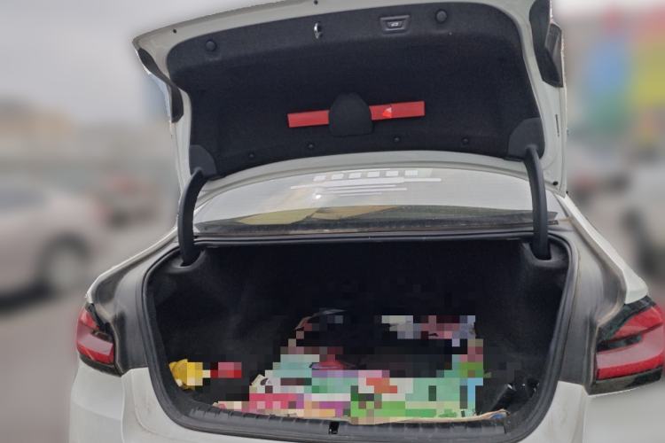 Used BMW 5 Series 2021 525Li Luxury Package
