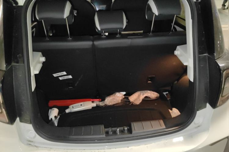 Used SOL E10X 2022 Flower Fairy Style Baby's Breath
